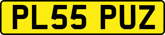 PL55PUZ