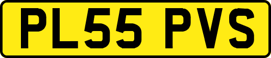 PL55PVS