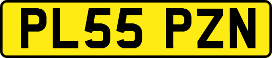 PL55PZN