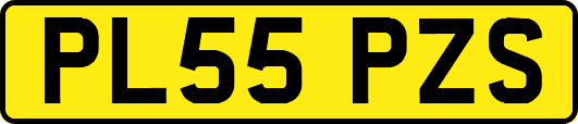 PL55PZS