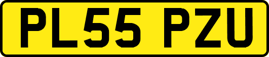 PL55PZU