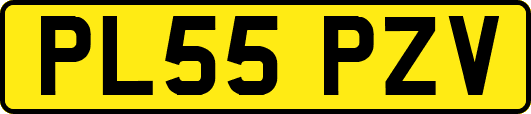 PL55PZV