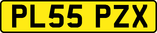 PL55PZX