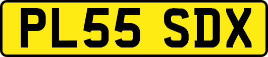 PL55SDX