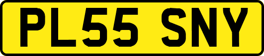 PL55SNY