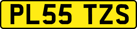 PL55TZS