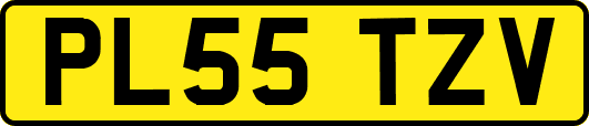 PL55TZV
