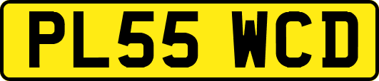 PL55WCD