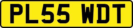 PL55WDT