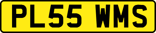 PL55WMS