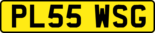 PL55WSG