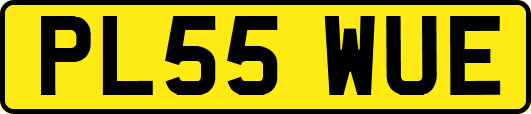 PL55WUE