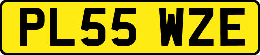 PL55WZE