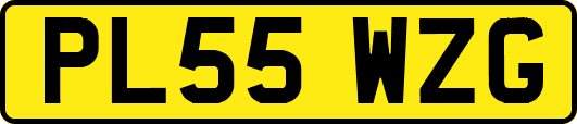 PL55WZG