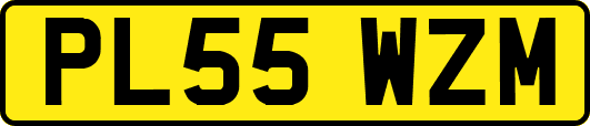 PL55WZM