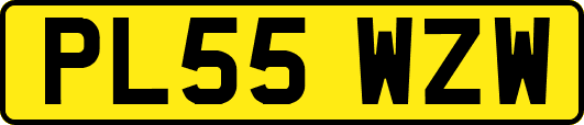 PL55WZW