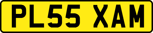 PL55XAM