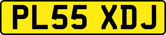 PL55XDJ
