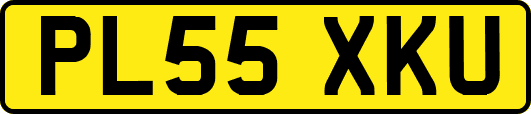 PL55XKU