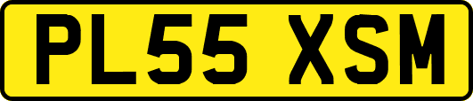 PL55XSM