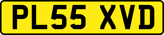 PL55XVD