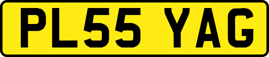 PL55YAG