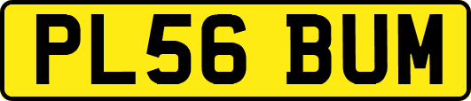 PL56BUM