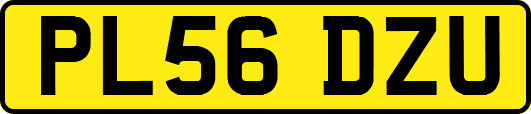 PL56DZU