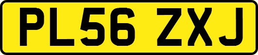 PL56ZXJ