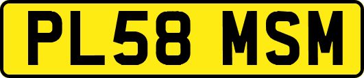 PL58MSM