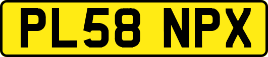 PL58NPX