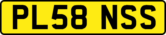 PL58NSS