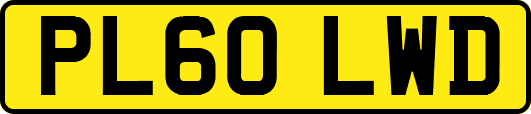 PL60LWD