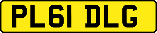 PL61DLG