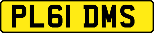 PL61DMS