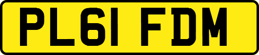 PL61FDM