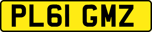 PL61GMZ