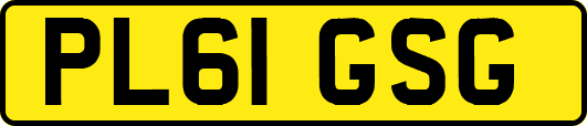 PL61GSG