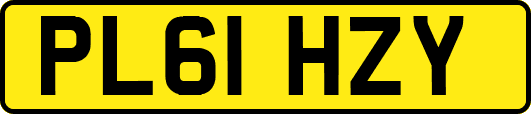 PL61HZY