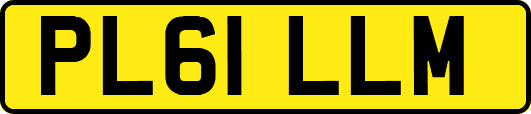 PL61LLM