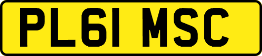 PL61MSC