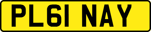 PL61NAY