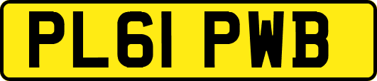PL61PWB