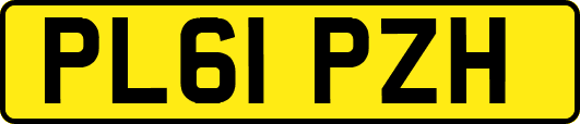 PL61PZH