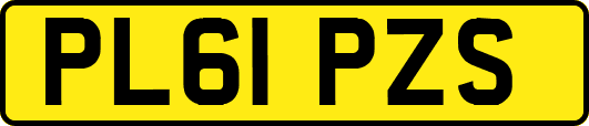 PL61PZS