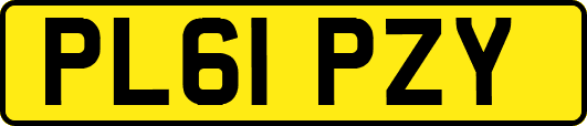 PL61PZY