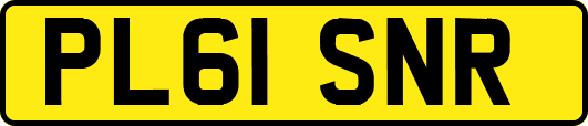 PL61SNR