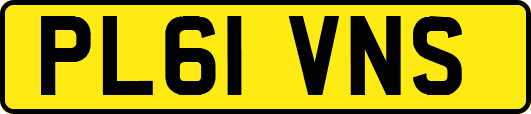 PL61VNS