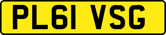 PL61VSG