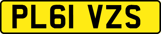 PL61VZS
